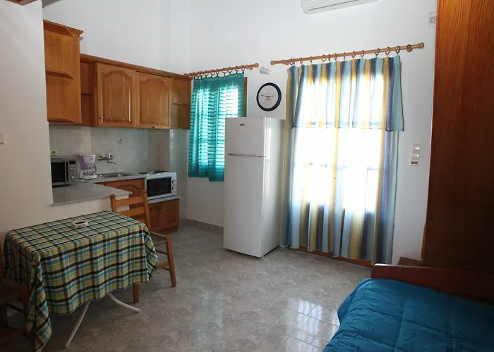 Afroditi Syros מלון דירות 3*